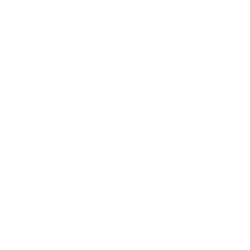 PAGE TOP